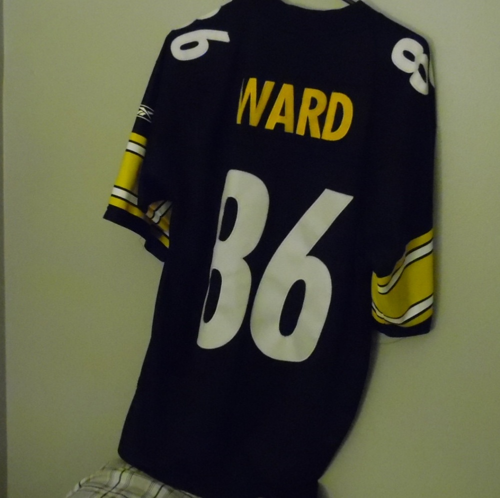 Hines Ward  jsy